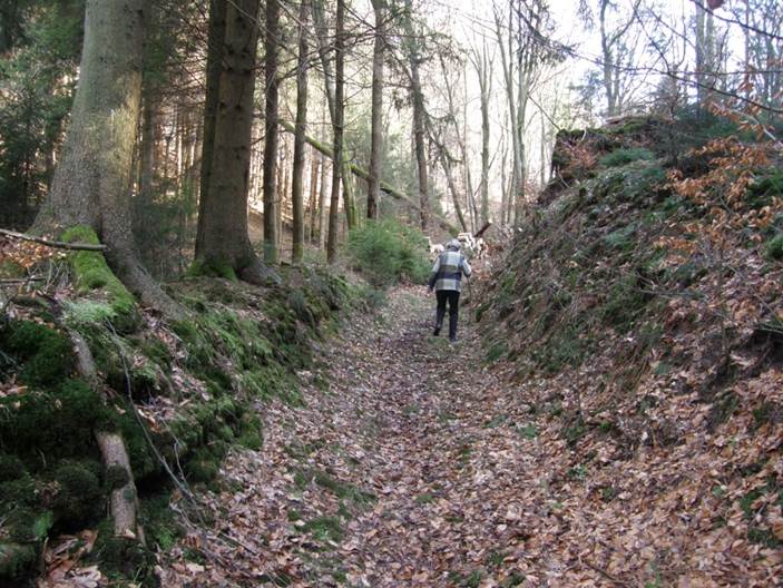 Die ersten Gehversuche auf dem freigeräumten Wanderweg Nr.13