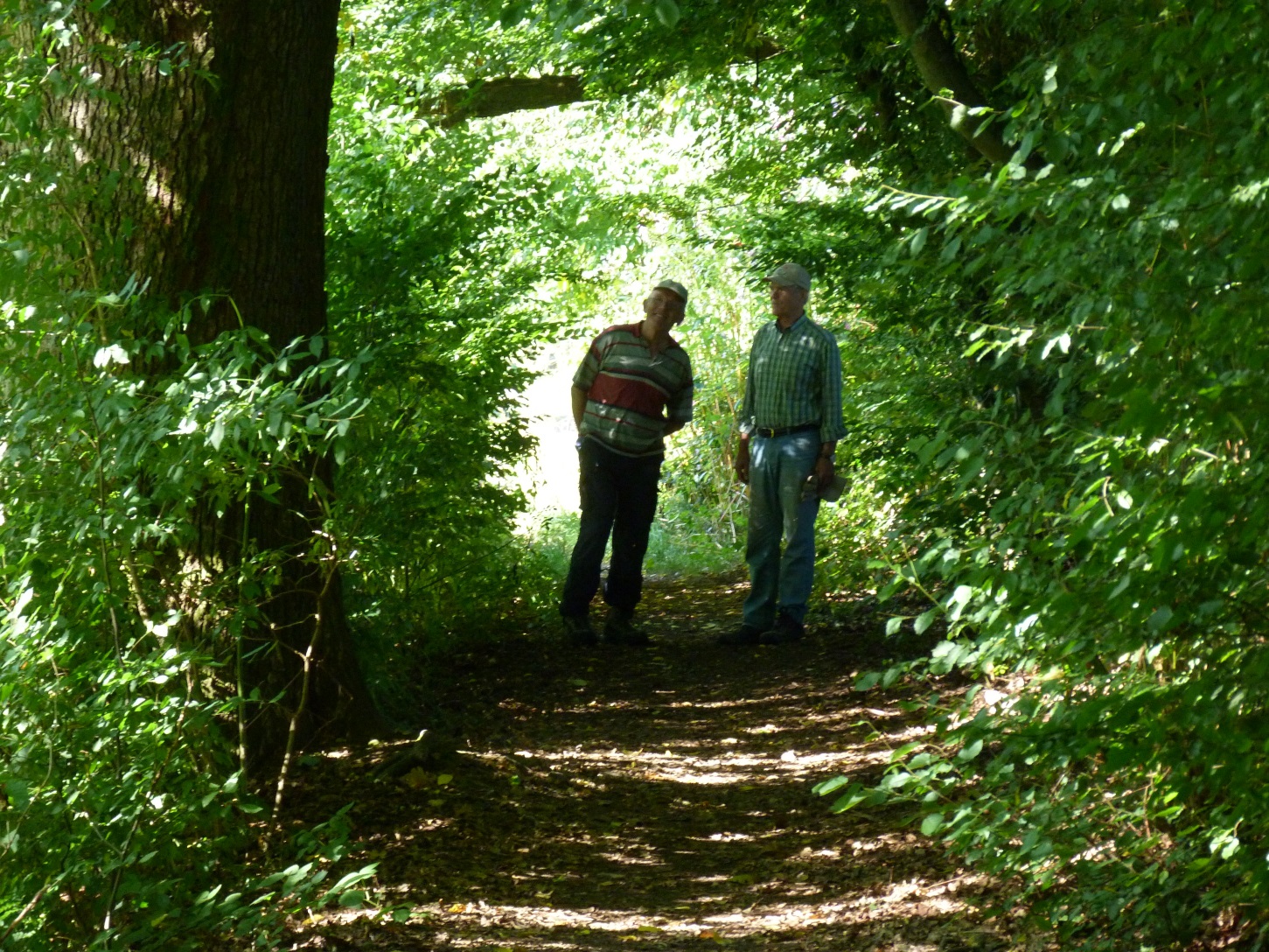 Waldweg Mühlenweg
